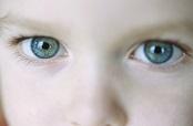 boy with blue eyes boy with blue eyes