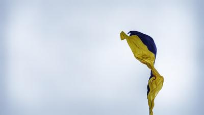 Ukraine Flag Ukraine Flag